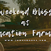 |TRAVEL| Weekend Bliss at Lily Vacation Farm House
